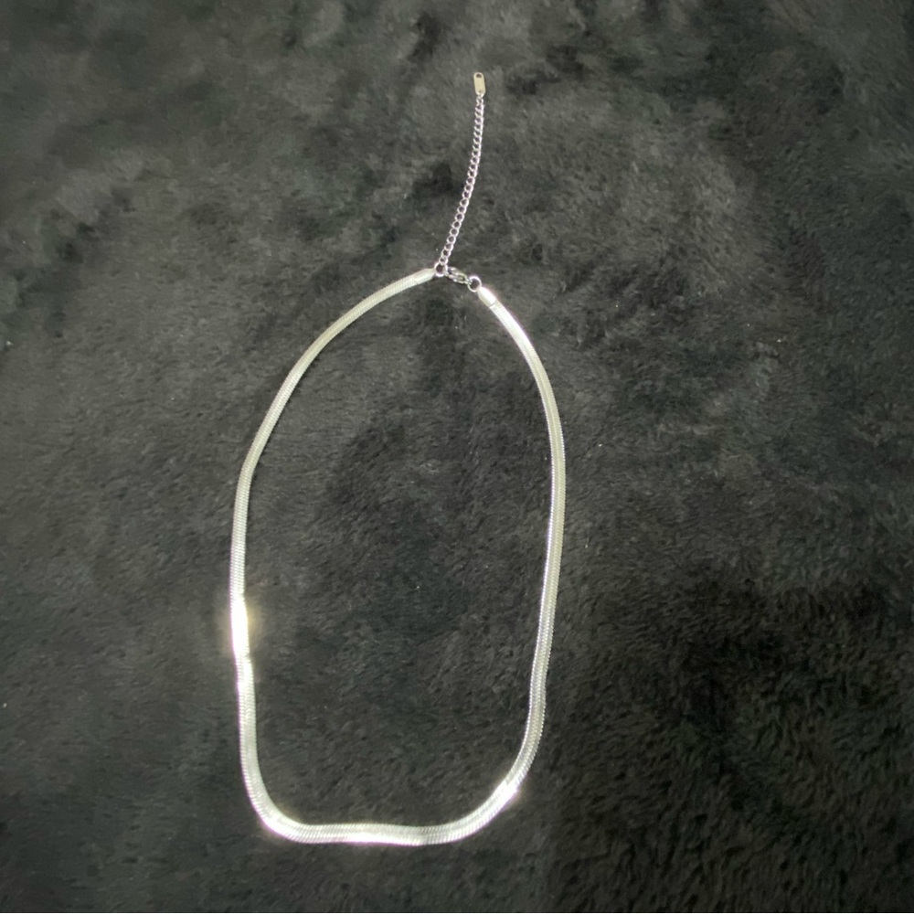 Stainless Steel Snake Bone Necklace